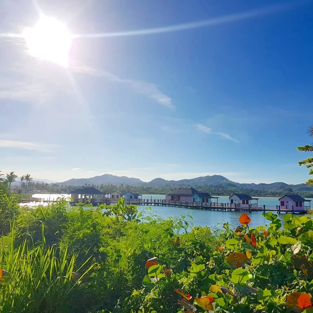Cruising with Danny and Peter, Holland America Line, Zuiderdam, Amber Cove, Dominican Republic | Experience Sustainable Tourism Amber Cove with a coffee plantation tour showcasing eco-friendly practices, organic coffee farming, and community engagement in the Dominican Republic.
