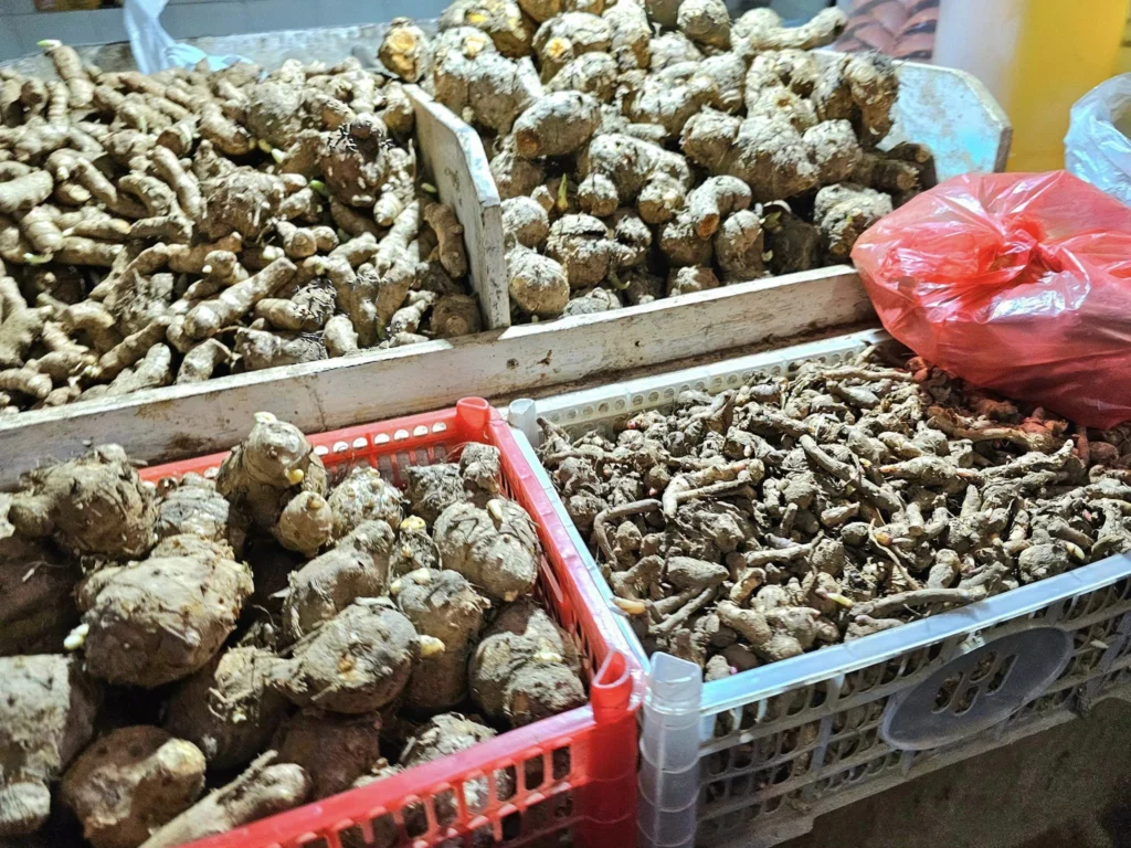 Cruising with Danny and Peter, Holland America Line, Westerdam, Surabaya, Indonesia, Surabaya Private Tour, Cultural Journey | Exploring Surabaya’s oldest Buddhist temple with intricate carvings, vibrant Arab Street bustling with spices, colorful local market stalls with fresh produce, ancient artifacts at the National Museum, and Holland America’s Westerdam docked for a Surabaya Private Tour. This Private Cultural Tour Surabaya includes a Surabaya Temple Tour, Surabaya Cultural Exploration, Surabaya Market Adventure, Surabaya Heritage Walk, and Westerdam Cruise Excursion with a Surabaya City Guide, showcasing a Customized Tour Surabaya and Private Sightseeing Surabaya experience.