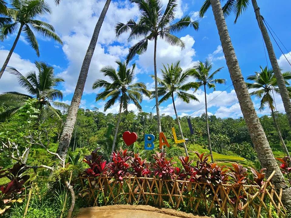 Cruising with Danny and Peter, Holland America Line, Westerdam, Benoa, Denpasar, Bali, Indonesia, Bali Cultural Adventures Westerdam | Sunset over Benoa Beach, lush Tegalalang Rice Terraces, playful Ubud Monkey Forest, Traditional Balinese Dance at Ubud Royal Palace, and Coffee Luwak Tasting at a plantation—showcasing the Best Places to Visit in Bali from Indonesian Cruise Ports on a Westerdam trip, blending Balinese Culture, nature, and flavor in a Bali Travel Guide for unforgettable Bali Sightseeing.