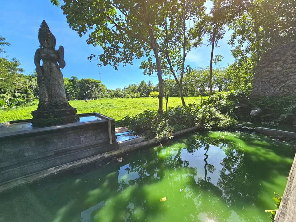 Cruising with Danny and Peter, Holland America Line, Westerdam, Benoa, Denpasar, Bali, Indonesia, Bali Cultural Adventures Westerdam | Sunset over Benoa Beach, lush Tegalalang Rice Terraces, playful Ubud Monkey Forest, Traditional Balinese Dance at Ubud Royal Palace, and Coffee Luwak Tasting at a plantation—showcasing the Best Places to Visit in Bali from Indonesian Cruise Ports on a Westerdam trip, blending Balinese Culture, nature, and flavor in a Bali Travel Guide for unforgettable Bali Sightseeing.