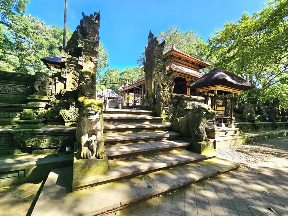 Cruising with Danny and Peter, Holland America Line, Westerdam, Benoa, Denpasar, Bali, Indonesia, Bali Cultural Adventures Westerdam | Sunset over Benoa Beach, lush Tegalalang Rice Terraces, playful Ubud Monkey Forest, Traditional Balinese Dance at Ubud Royal Palace, and Coffee Luwak Tasting at a plantation—showcasing the Best Places to Visit in Bali from Indonesian Cruise Ports on a Westerdam trip, blending Balinese Culture, nature, and flavor in a Bali Travel Guide for unforgettable Bali Sightseeing.