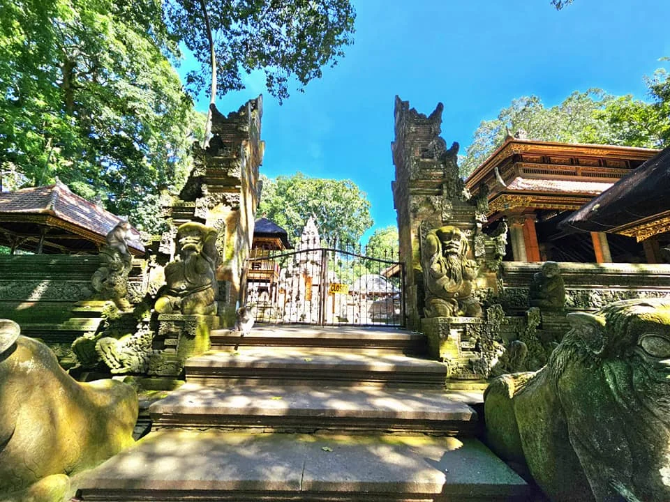 Cruising with Danny and Peter, Holland America Line, Westerdam, Benoa, Denpasar, Bali, Indonesia, Bali Cultural Adventures Westerdam | Sunset over Benoa Beach, lush Tegalalang Rice Terraces, playful Ubud Monkey Forest, Traditional Balinese Dance at Ubud Royal Palace, and Coffee Luwak Tasting at a plantation—showcasing the Best Places to Visit in Bali from Indonesian Cruise Ports on a Westerdam trip, blending Balinese Culture, nature, and flavor in a Bali Travel Guide for unforgettable Bali Sightseeing.