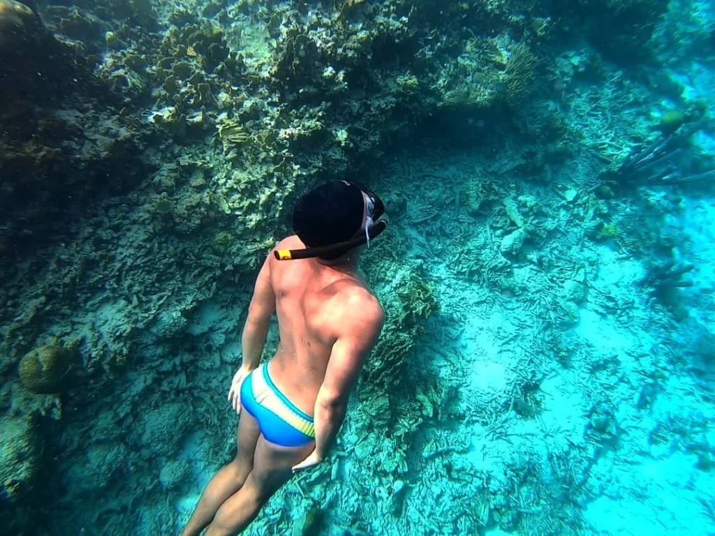 Cruising with Danny and Peter, Holland America Line, Zuiderdam, Kralendijk, Bonaire | A vibrant underwater scene showcasing colorful coral reefs and diverse marine life during a snorkeling adventure in Kralendijk, Bonaire, with tropical waters inviting exploration.