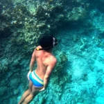 Cruising with Danny and Peter, Holland America Line, Zuiderdam, Kralendijk, Bonaire | A vibrant underwater scene showcasing colorful coral reefs and diverse marine life during a snorkeling adventure in Kralendijk, Bonaire, with tropical waters inviting exploration.