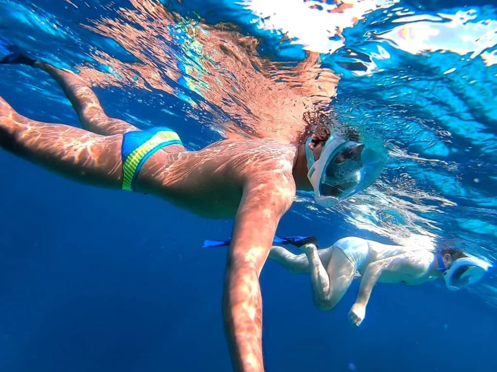 Cruising with Danny and Peter, Holland America Line, Zuiderdam, Kralendijk, Bonaire | A vibrant underwater scene showcasing colorful coral reefs and diverse marine life during a snorkeling adventure in Kralendijk, Bonaire, with tropical waters inviting exploration.