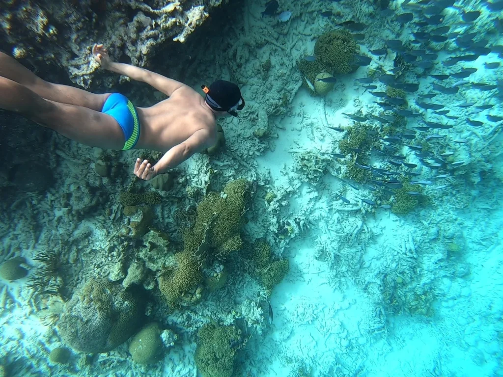 Cruising with Danny and Peter, Holland America Line, Zuiderdam, Kralendijk, Bonaire | A vibrant underwater scene showcasing colorful coral reefs and diverse marine life during a snorkeling adventure in Kralendijk, Bonaire, with tropical waters inviting exploration.