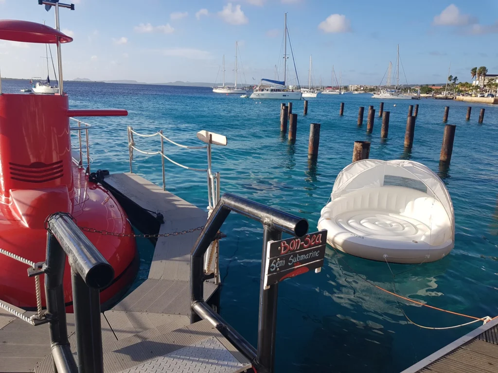 Cruising with Danny and Peter, Holland America Line, Zuiderdam, Kralendijk, Bonaire | A vibrant underwater scene showcasing colorful coral reefs and diverse marine life during a snorkeling adventure in Kralendijk, Bonaire, with tropical waters inviting exploration.