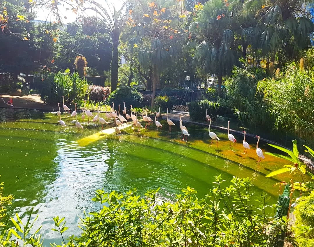 Cruising with Danny and Peter, Holland America Line, Westerdam, Hong Kong, China | A vibrant street in Kun Tong District, Hong Kong, showcasing colorful street art and local markets filled with fresh produce, reflecting the unique blend of traditional and modern Hong Kong culture, highlighting the culinary delights and bustling atmosphere of this captivating neighborhood.