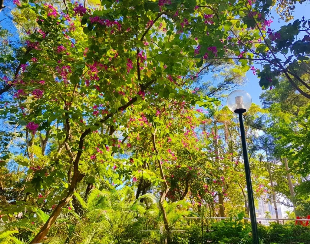 Cruising with Danny and Peter, Holland America Line, Westerdam, Hong Kong, China | A vibrant street in Kun Tong District, Hong Kong, showcasing colorful street art and local markets filled with fresh produce, reflecting the unique blend of traditional and modern Hong Kong culture, highlighting the culinary delights and bustling atmosphere of this captivating neighborhood.