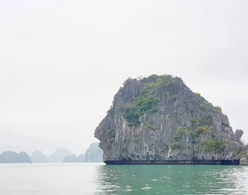 Cruising with Danny and Peter, Holland America Line, Westerdam, Halong Bay, Vietnam | A stunning view of the Hạ Long Bay Yacht cruising through emerald waters, surrounded by majestic limestone karsts. Guests enjoy Vietnamese seafood dining on the deck while kayaking in Hạ Long Bay. The private yacht tour showcases the beauty of this UNESCO World Heritage site.