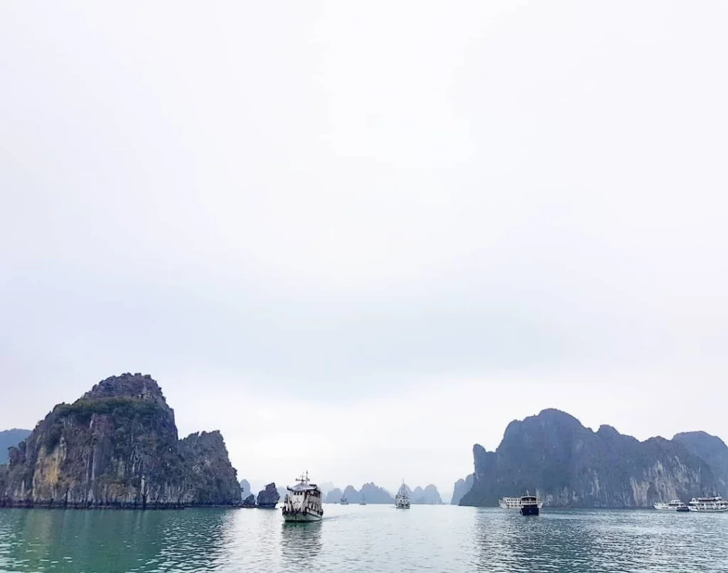 Cruising with Danny and Peter, Holland America Line, Westerdam, Halong Bay, Vietnam | A stunning view of the Hạ Long Bay Yacht cruising through emerald waters, surrounded by majestic limestone karsts. Guests enjoy Vietnamese seafood dining on the deck while kayaking in Hạ Long Bay. The private yacht tour showcases the beauty of this UNESCO World Heritage site.