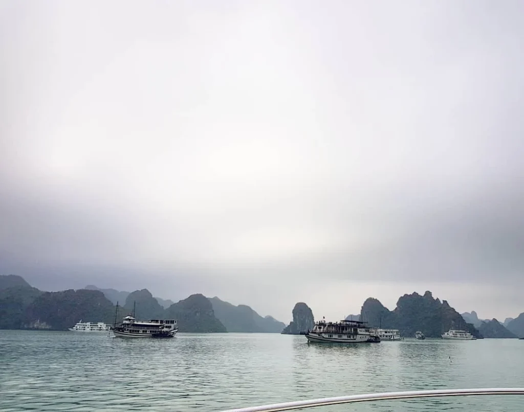 Cruising with Danny and Peter, Holland America Line, Westerdam, Halong Bay, Vietnam | A stunning view of the Hạ Long Bay Yacht cruising through emerald waters, surrounded by majestic limestone karsts. Guests enjoy Vietnamese seafood dining on the deck while kayaking in Hạ Long Bay. The private yacht tour showcases the beauty of this UNESCO World Heritage site.