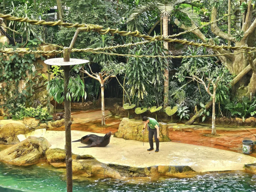 Cruising with Danny and Peter, Holland America Line, Westerdam, Singapore, Singapore Zoo Experience 5 Highlights | Exploring the Singapore Zoo Experience: A lush Rainforest Adventure Singapore in the Fragile Forest with butterflies and sloths, kids enjoying Rainforest Kidzworld—a Family-Friendly Zoo Singapore highlight of the Singapore Zoo Conservation Adventure—with water slides and monkeys promoting Nature Education Singapore, lions and baboons in the Great Rift Valley of Ethiopia Singapore Zoo Exhibit showcasing Singapore Wildlife Adventure and Ecotourism in Singapore, signage highlighting Conservation Efforts Zoo emphasizing Sustainable Tourism Singapore, all at the entrance to this Wildlife Sanctuary Singapore offering top Singapore Zoo Attractions.