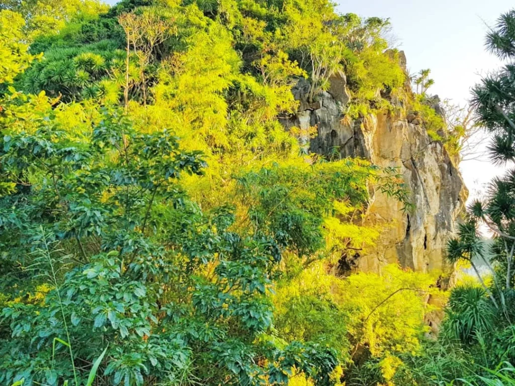 Cruising with Danny and Peter, Holland America Line, Westerdam, Da Nang, Hue, Vietnam | Stunning views of Bana Hills Marble Mountains in Vietnam, featuring the iconic Golden Bridge held by giant stone hands, the charming French Village, and serene Vietnamese Buddhist sanctuaries nestled within the lush limestone hills.