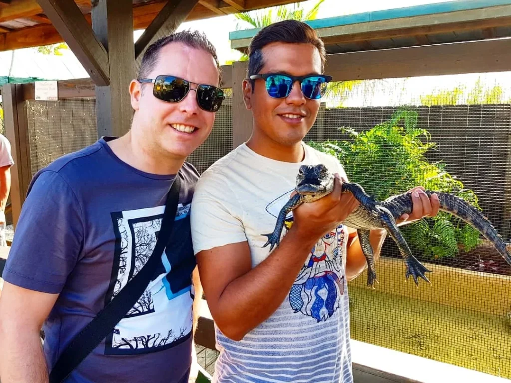 Cruising with Danny and Peter, Holland America Line, Zuiderdam, Fort Lauderdale, Florida, United States | A vibrant scene from the Everglades Adventure showcasing the diverse wildlife during the Daylight Exploration of Everglades, featuring alligators basking in the sun, colorful wading birds foraging in the wetlands, and lush sawgrass prairies under the bright Florida sun, highlighting the unique Everglades Ecosystem and the beauty of outdoor activities in Florida.