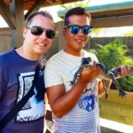 Cruising with Danny and Peter, Holland America Line, Zuiderdam, Fort Lauderdale, Florida, United States | A vibrant scene from the Everglades Adventure showcasing the diverse wildlife during the Daylight Exploration of Everglades, featuring alligators basking in the sun, colorful wading birds foraging in the wetlands, and lush sawgrass prairies under the bright Florida sun, highlighting the unique Everglades Ecosystem and the beauty of outdoor activities in Florida.