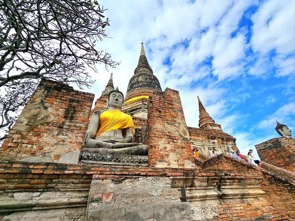 A Majestic Journey: Unveiling the Royal Historical Tour Ayutthaya from the Holland America Cruise 43 Cruising with Danny and Peter, Holland America Line, Westerdam, Laem Chabang, Bangkok, Thailand, Royal Historical Tour Ayutthaya 5 Glorious Stops | Exploring the Royal Historical Tour Ayutthaya and Bang Pa In Ayutthaya with lush gardens at Bang Pa In Palace, the elegant Aisawan Dhipaya Pavilion on a tranquil lake, towering stupa and Buddha statues at Ayutthaya Temples, colorful Traditional Thai Cuisine, and the iconic Buddha head in tree roots at Wat Mahathat Ruins—a UNESCO Heritage Site—all part of an unforgettable Thailand Cultural Tour and Ayutthaya Day Trip from the Holland America Cruise, showcasing Thai Royal History.
