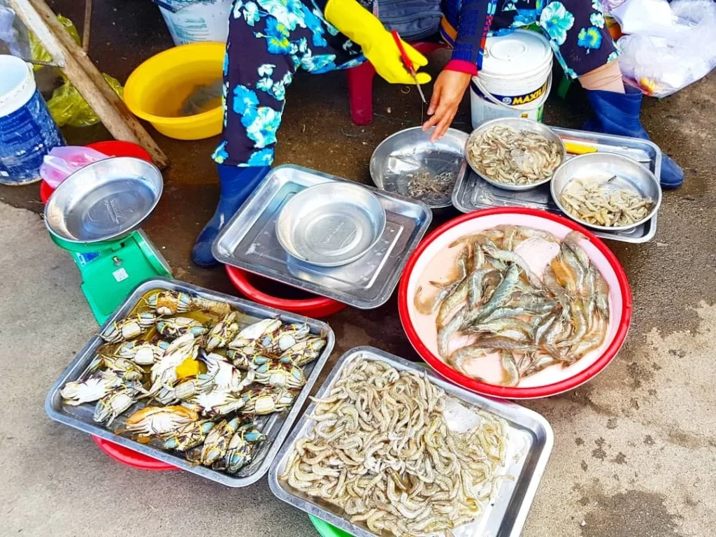 Cruising with Danny and Peter, Holland America Line, Westerdam, Nha Trang, Vietnam | Vibrant local markets in Nha Trang showcasing fresh produce and street food during a Nha Trang tour experience; scenic river cruise views with lush landscapes; delicious Vietnamese dishes like pho and banh mi from a Nha Trang food tour; historical sites featuring ancient temples and architecture in Nha Trang, Vietnam.
