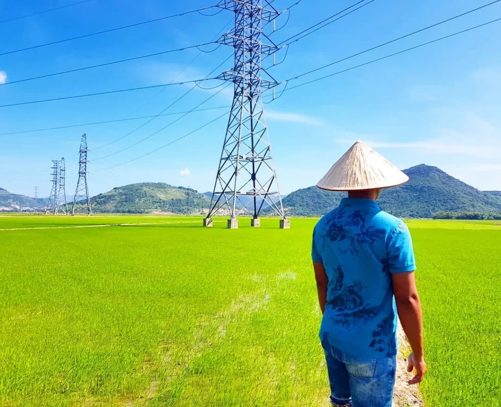 Cruising with Danny and Peter, Holland America Line, Westerdam, Nha Trang, Vietnam | Vibrant local markets in Nha Trang showcasing fresh produce and street food during a Nha Trang tour experience; scenic river cruise views with lush landscapes; delicious Vietnamese dishes like pho and banh mi from a Nha Trang food tour; historical sites featuring ancient temples and architecture in Nha Trang, Vietnam.