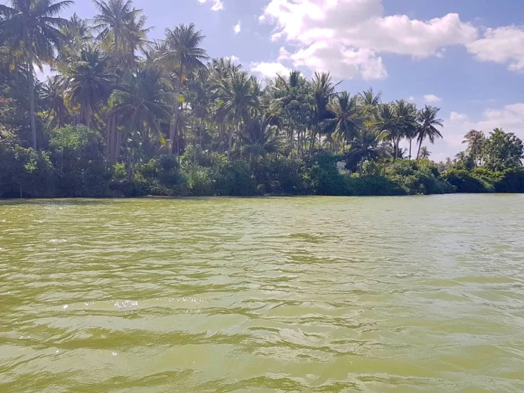 Cruising with Danny and Peter, Holland America Line, Westerdam, Nha Trang, Vietnam | Vibrant local markets in Nha Trang showcasing fresh produce and street food during a Nha Trang tour experience; scenic river cruise views with lush landscapes; delicious Vietnamese dishes like pho and banh mi from a Nha Trang food tour; historical sites featuring ancient temples and architecture in Nha Trang, Vietnam.