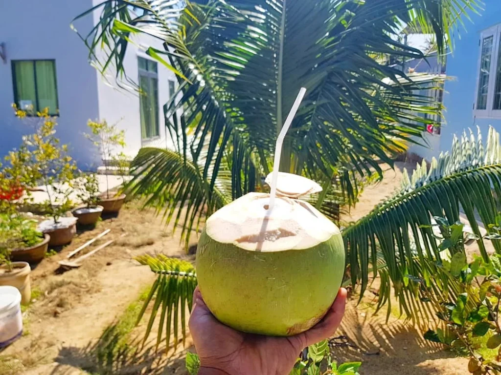 Cruising with Danny and Peter, Holland America Line, Westerdam, Nha Trang, Vietnam | Vibrant local markets in Nha Trang showcasing fresh produce and street food during a Nha Trang tour experience; scenic river cruise views with lush landscapes; delicious Vietnamese dishes like pho and banh mi from a Nha Trang food tour; historical sites featuring ancient temples and architecture in Nha Trang, Vietnam.