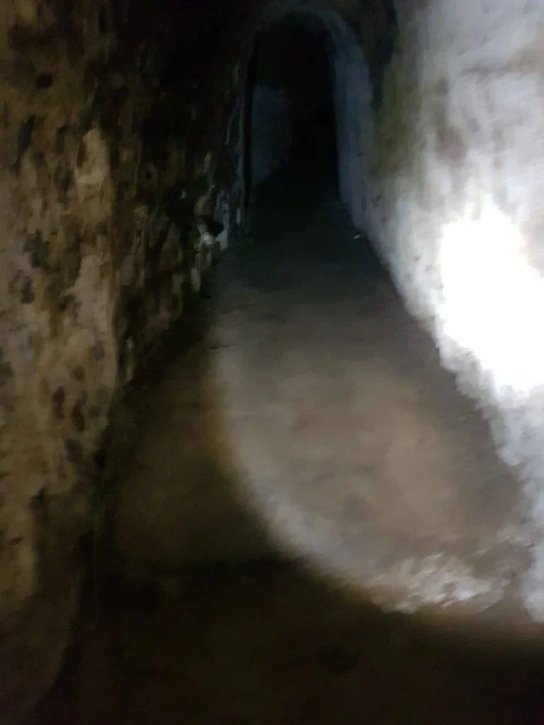 Cruising with Danny and Peter, Holland America Line, Westerdam, Phu My, Vietnam | Visitors exploring the Cu Chi Tunnels, a historic underground network used during the Vietnam War near Ho Chi Minh City, showcasing the Viet Cong's guerrilla tactics and the resilience of the Vietnamese people. The intricate tunnels of Cu Chi, complete with living quarters, are an iconic part of Vietnam's cultural heritage and historical sites, providing insight into underground warfare and the country's wartime history.