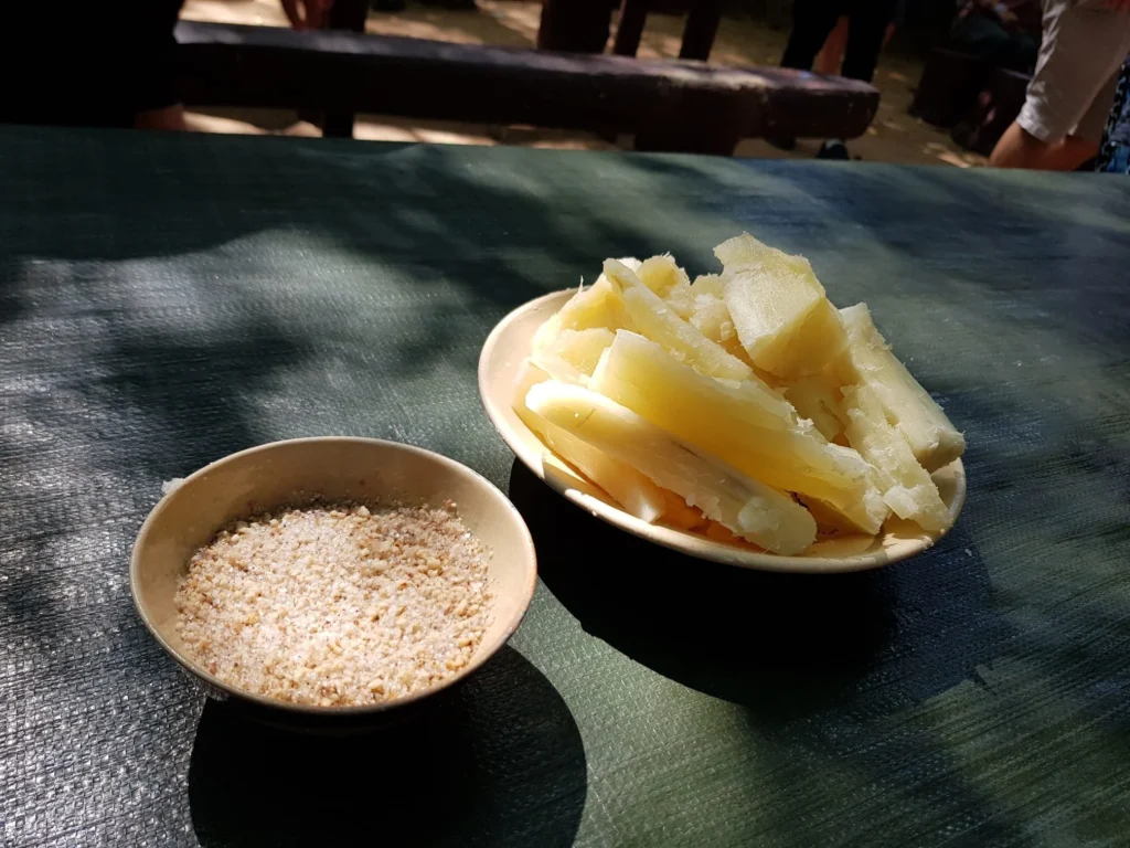 Cruising with Danny and Peter, Holland America Line, Westerdam, Phu My, Vietnam | Visitors exploring the Cu Chi Tunnels, a historic underground network used during the Vietnam War near Ho Chi Minh City, showcasing the Viet Cong's guerrilla tactics and the resilience of the Vietnamese people. The intricate tunnels of Cu Chi, complete with living quarters, are an iconic part of Vietnam's cultural heritage and historical sites, providing insight into underground warfare and the country's wartime history.