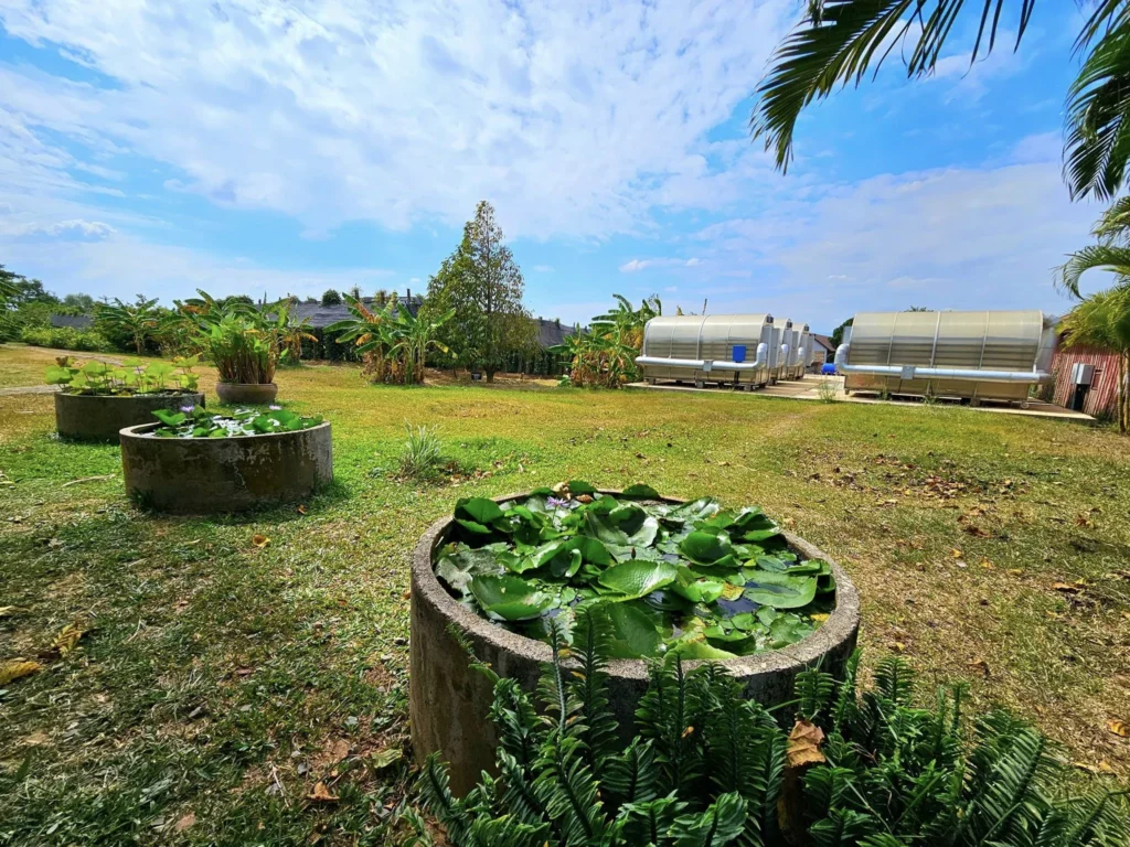 Cruising with Danny and Peter, Holland America Line, Westerdam, Sihanoukville, Cambodia, Cambodia Coastal Exploration | Golden sands and turquoise waves at Sihanoukville Beaches, busy Le Kep Crab Market with fresh crab and Kampot pepper, lush green vines at Kampot Pepper Farms, elegant French Colonial Architecture along Kampot riverside, and grilled fish with Kampot pepper at Fresh Seafood Cambodia stall—all captured during an unforgettable Cambodia Coastal Exploration and Cambodia Coastal Cultural Adventure with Holland America Westerdam in Cambodia’s coastal towns.