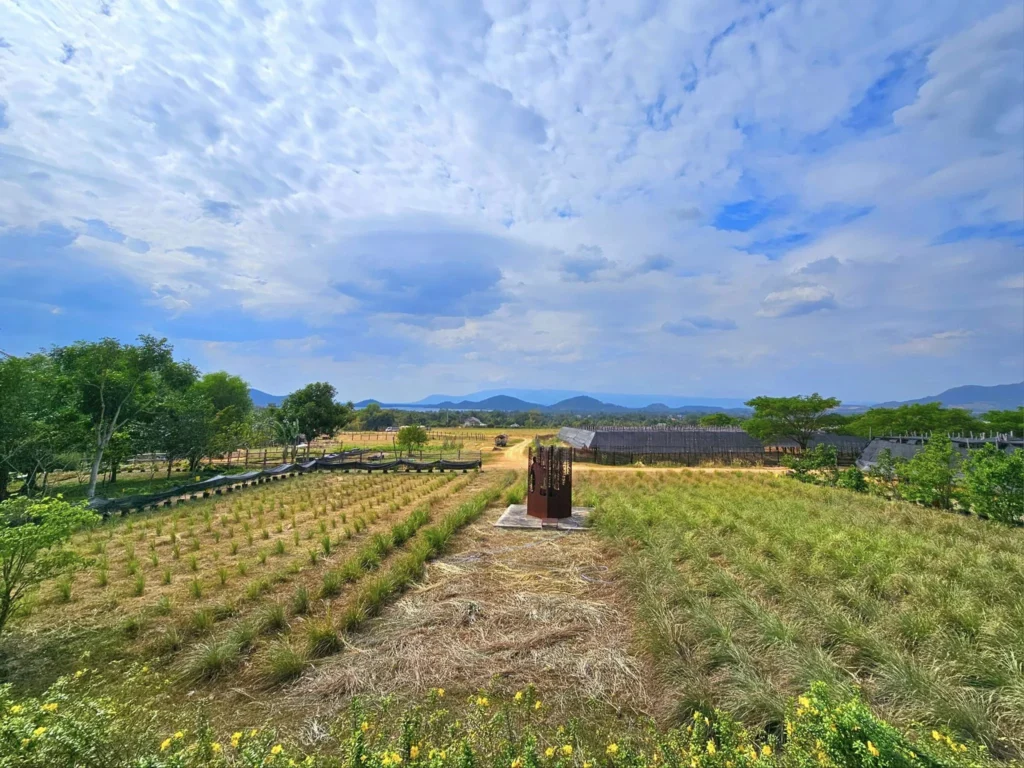 Cruising with Danny and Peter, Holland America Line, Westerdam, Sihanoukville, Cambodia, Cambodia Coastal Exploration | Golden sands and turquoise waves at Sihanoukville Beaches, busy Le Kep Crab Market with fresh crab and Kampot pepper, lush green vines at Kampot Pepper Farms, elegant French Colonial Architecture along Kampot riverside, and grilled fish with Kampot pepper at Fresh Seafood Cambodia stall—all captured during an unforgettable Cambodia Coastal Exploration and Cambodia Coastal Cultural Adventure with Holland America Westerdam in Cambodia’s coastal towns.