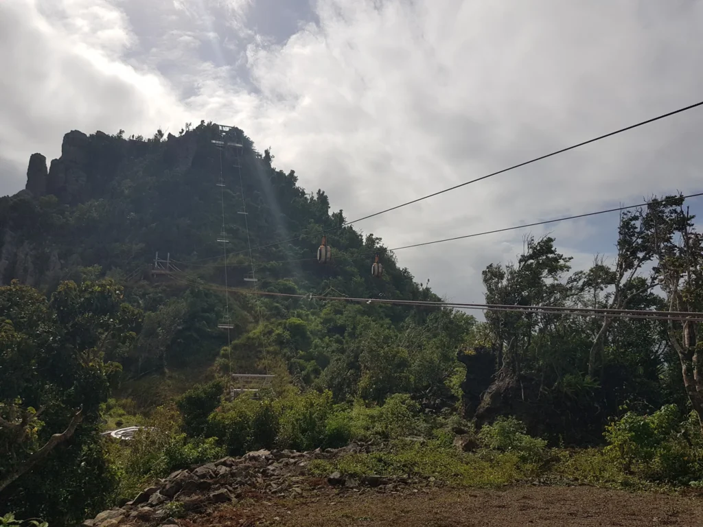 Cruising with Danny and Peter, Holland America Line, Zuiderdam, Philipsburg, Sint-Maarten | Adventurers soaring through the sky on the Philipsburg zip-line, enjoying breathtaking scenic views of lush Caribbean landscapes, turquoise waters, and the charming architecture of Philipsburg during an exhilarating aerial adventure.