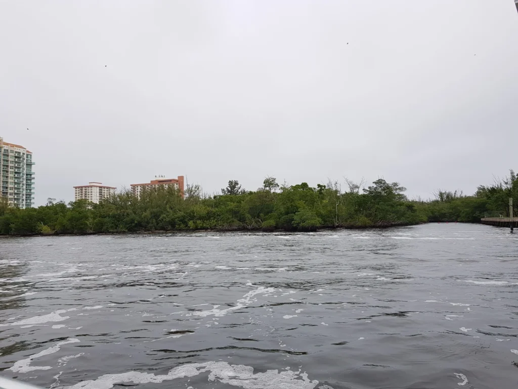 Cruising with Danny and Peter, Holland America Line, Nieuw Amsterdam, Fort Lauderdale, Florida, United States | A scenic view of a Fort Lauderdale river cruise adventure showcasing lush palm trees lining the waterways, luxury mansions along Millionaire's Row, and vibrant sunset reflections on the water, capturing the essence of a memorable canal cruise in Fort Lauderdale.