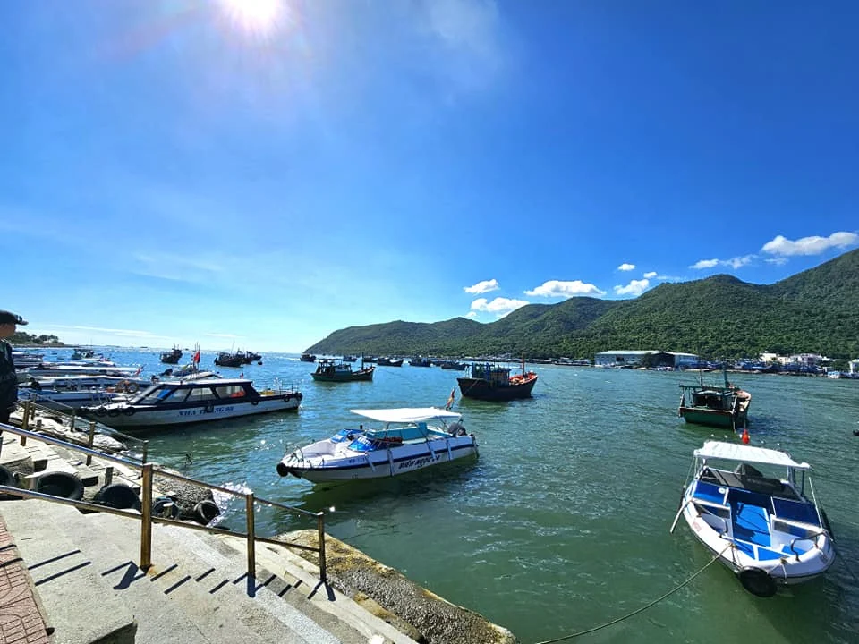 Cruising with Danny and Peter, Holland America Line, Westerdam, Nha Trang, Vietnam, Nha Trang Island Escapade Adventure | Group of tourists enjoying a Nha Trang Island Escapade Adventure featuring Mieu Island Exploration under a tropical sun, vibrant underwater scenes from Coral Reef Snorkeling in Nha Trang Bay, the pirate ship-shaped Tri Nguyen Aquarium showcasing a Marine Life Experience on a Vietnam Coastal Adventure, local fishermen feeding groupers during a Fishing Village Visit, relaxing on golden sands at Mini Beach Relaxation after a Nha Trang Island Tour with Holland America Cruise, and a scenic view of Nha Trang Bay from a boat during a Tropical Island Retreat.