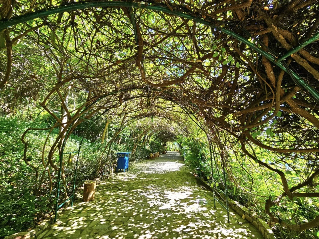 Cruising with Danny and Peter, Holland America Line, Westerdam, Nha Trang, Vietnam, Nha Trang Island Escapade Adventure | Group of tourists enjoying a Nha Trang Island Escapade Adventure featuring Mieu Island Exploration under a tropical sun, vibrant underwater scenes from Coral Reef Snorkeling in Nha Trang Bay, the pirate ship-shaped Tri Nguyen Aquarium showcasing a Marine Life Experience on a Vietnam Coastal Adventure, local fishermen feeding groupers during a Fishing Village Visit, relaxing on golden sands at Mini Beach Relaxation after a Nha Trang Island Tour with Holland America Cruise, and a scenic view of Nha Trang Bay from a boat during a Tropical Island Retreat.