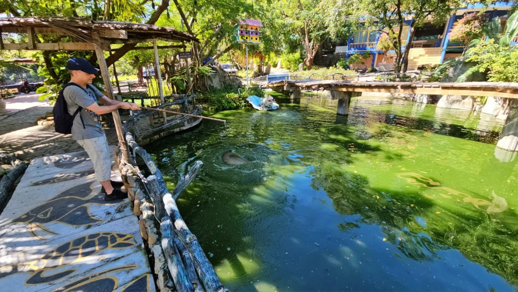 Cruising with Danny and Peter, Holland America Line, Westerdam, Nha Trang, Vietnam, Nha Trang Island Escapade Adventure | Group of tourists enjoying a Nha Trang Island Escapade Adventure featuring Mieu Island Exploration under a tropical sun, vibrant underwater scenes from Coral Reef Snorkeling in Nha Trang Bay, the pirate ship-shaped Tri Nguyen Aquarium showcasing a Marine Life Experience on a Vietnam Coastal Adventure, local fishermen feeding groupers during a Fishing Village Visit, relaxing on golden sands at Mini Beach Relaxation after a Nha Trang Island Tour with Holland America Cruise, and a scenic view of Nha Trang Bay from a boat during a Tropical Island Retreat.
