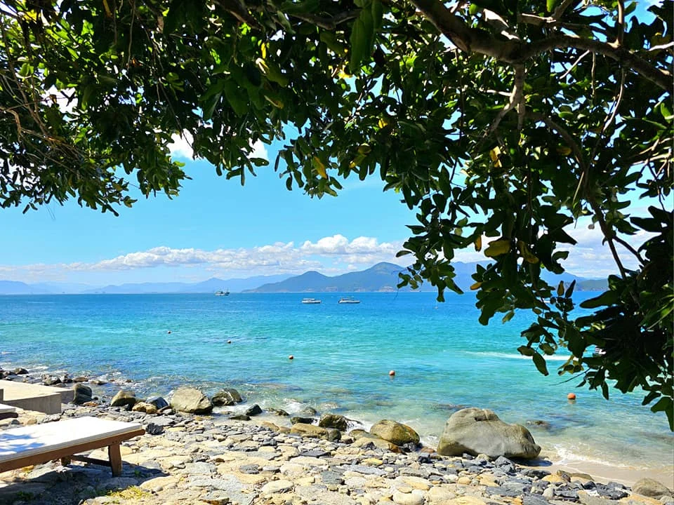 Cruising with Danny and Peter, Holland America Line, Westerdam, Nha Trang, Vietnam, Nha Trang Island Escapade Adventure | Group of tourists enjoying a Nha Trang Island Escapade Adventure featuring Mieu Island Exploration under a tropical sun, vibrant underwater scenes from Coral Reef Snorkeling in Nha Trang Bay, the pirate ship-shaped Tri Nguyen Aquarium showcasing a Marine Life Experience on a Vietnam Coastal Adventure, local fishermen feeding groupers during a Fishing Village Visit, relaxing on golden sands at Mini Beach Relaxation after a Nha Trang Island Tour with Holland America Cruise, and a scenic view of Nha Trang Bay from a boat during a Tropical Island Retreat.