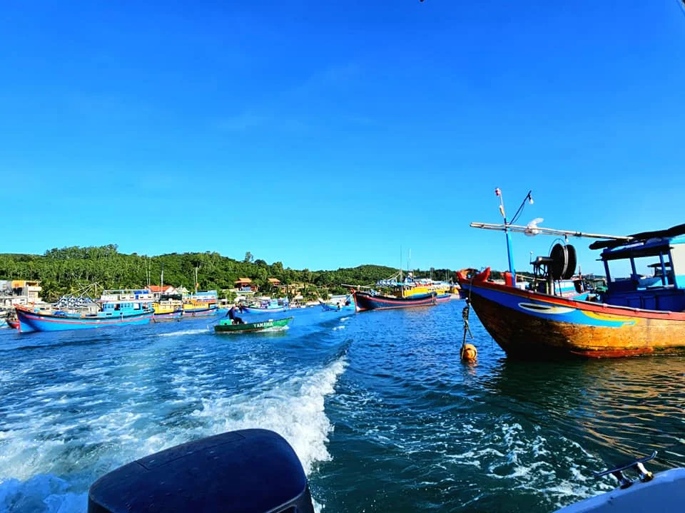 Cruising with Danny and Peter, Holland America Line, Westerdam, Nha Trang, Vietnam, Nha Trang Island Escapade Adventure | Group of tourists enjoying a Nha Trang Island Escapade Adventure featuring Mieu Island Exploration under a tropical sun, vibrant underwater scenes from Coral Reef Snorkeling in Nha Trang Bay, the pirate ship-shaped Tri Nguyen Aquarium showcasing a Marine Life Experience on a Vietnam Coastal Adventure, local fishermen feeding groupers during a Fishing Village Visit, relaxing on golden sands at Mini Beach Relaxation after a Nha Trang Island Tour with Holland America Cruise, and a scenic view of Nha Trang Bay from a boat during a Tropical Island Retreat.