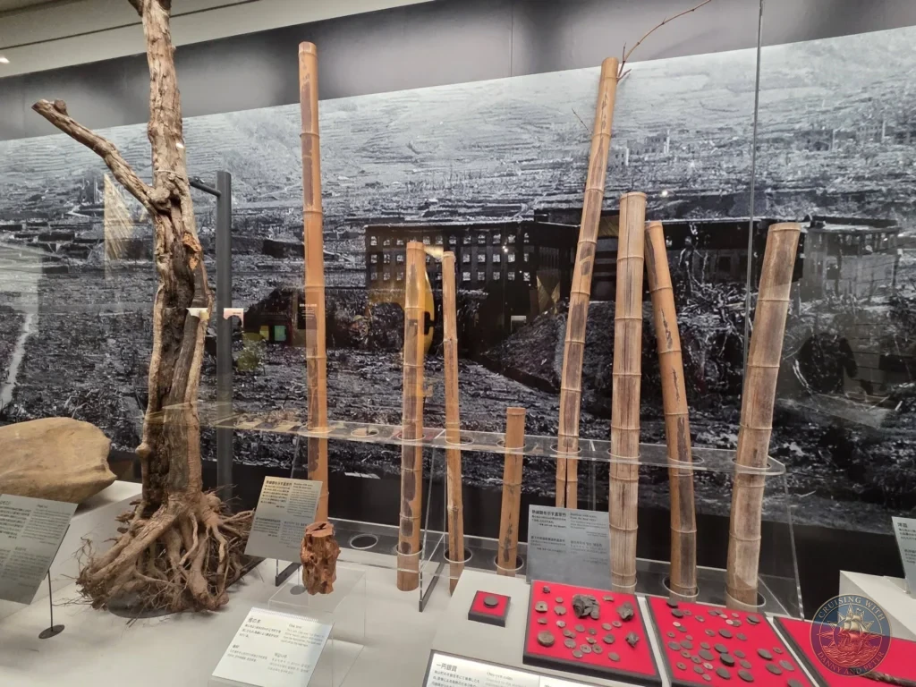 Display case at the Nagasaki Atomic Bomb Museum featuring a charred tree trunk, scorched bamboo stalks, and melted coins recovered from the atomic bombing. A large black-and-white historical photo of the devastated city serves as the backdrop. Featured in Nagasaki Japan cruise port guide, things to do in Nagasaki from cruise ship, and one day in Nagasaki Japan itinerary from the Westerdam. by Danny and Peter.