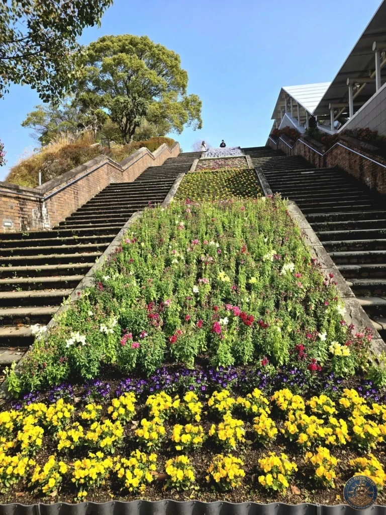 Vibrant flower staircase with colorful pansies and other blooms at Nagasaki Peace Park, Japan. The wide brick steps lead upward under a clear blue sky, surrounded by trees. Featured in Nagasaki Japan cruise port guide, things to do in Nagasaki from cruise ship, and one day in Nagasaki Japan itinerary from the Westerdam. by Danny and Peter.