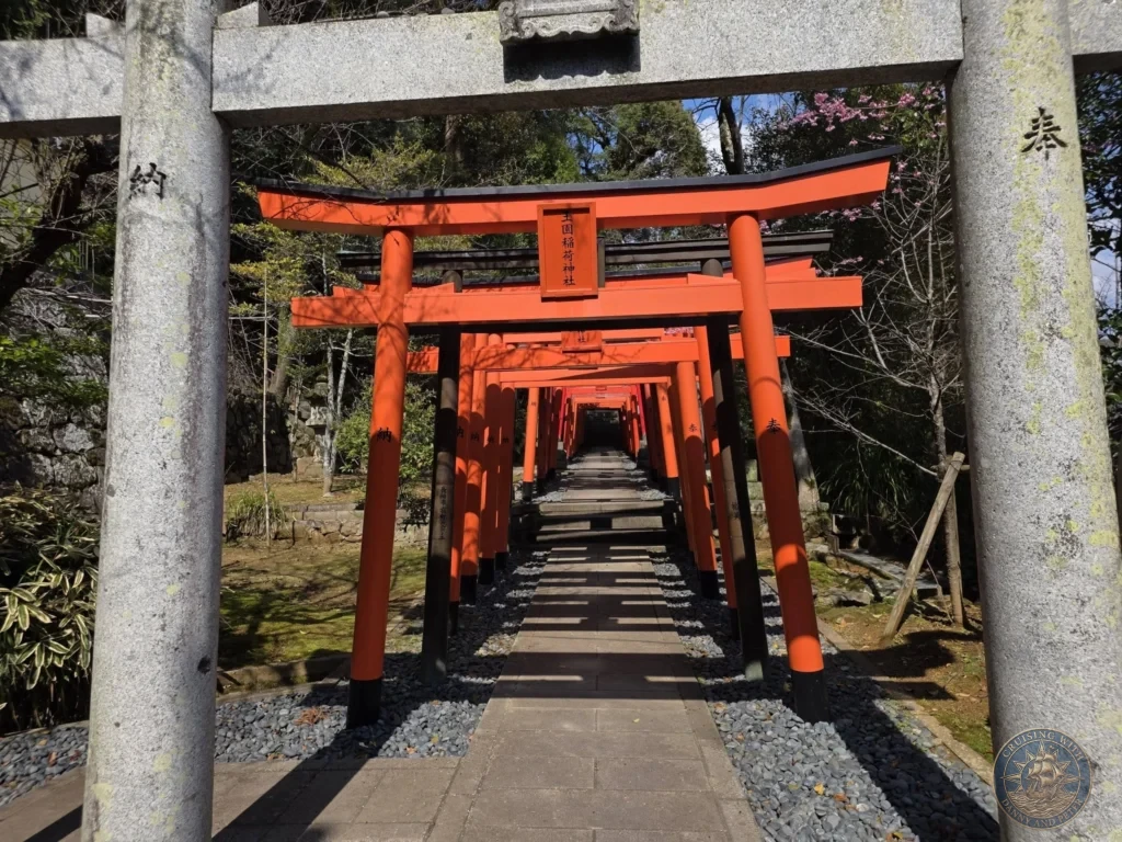 View through a series of bright red torii gates forming a long tunnel at Suwa Shrine in Nagasaki, Japan. The pathway leads uphill through the gates, flanked by trees and gravel under a clear blue sky. Featured in Nagasaki Japan cruise port guide, things to do in Nagasaki from cruise ship, and one day in Nagasaki Japan itinerary from the Westerdam. by Danny and Peter.
