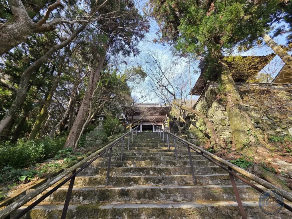 Steep stone staircase leading up to Chikurin Temple surrounded by tall trees and lush forest in Kochi, Japan. Scenic approach to the historic mountain temple. Kochi Cruise Port Guide | Things to do in Kochi from cruise ship | One day in Kochi Japan itinerary by Danny and Peter.