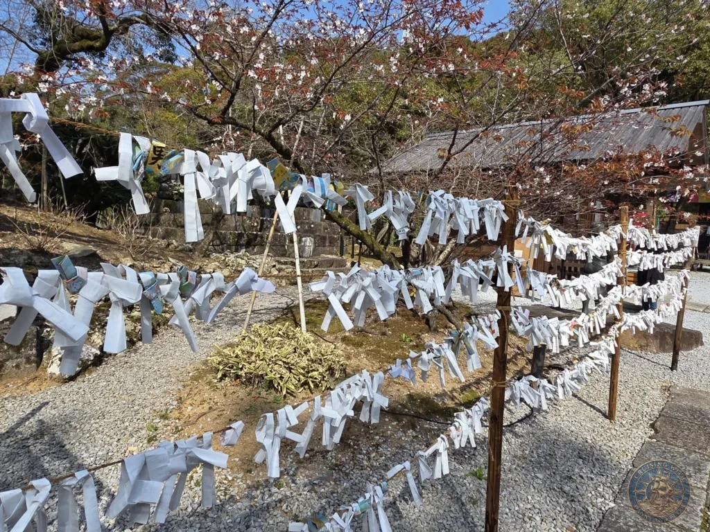 Hundreds of white omikuji paper fortunes tied to branches and strings at Chikurin Temple in Kochi, Japan. Traditional shrine custom with cherry blossoms and lush trees in the background. Kochi Cruise Port Guide | Things to do in Kochi from cruise ship | One day in Kochi Japan itinerary by Danny and Peter.