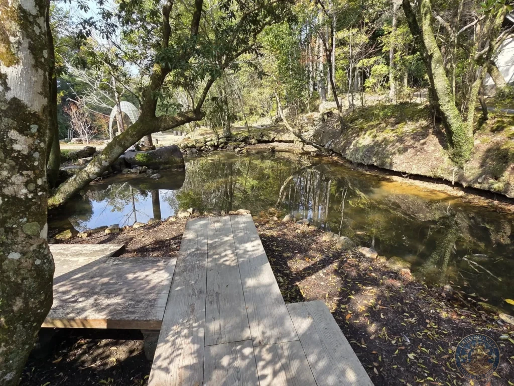 Wooden boardwalk beside a serene pond surrounded by lush trees at Chikurin Temple in Kochi, Japan. Peaceful forested temple grounds with natural reflections. Kochi Cruise Port Guide | Things to do in Kochi from cruise ship | One day in Kochi Japan itinerary by Danny and Peter.