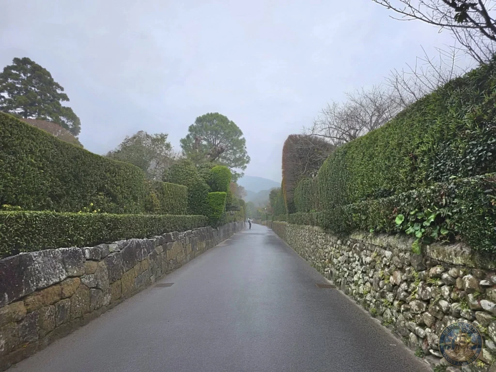 Atmospheric paved pathway lined with traditional stone walls and meticulously trimmed hedges in the historic Chiran Samurai District. Classic view of the preserved Edo-period samurai village and gardens near Kagoshima. Kagoshima Cruise Port Guide | Things to do in Kagoshima from cruise ship | One day in Kagoshima Japan itinerary by Danny and Peter.