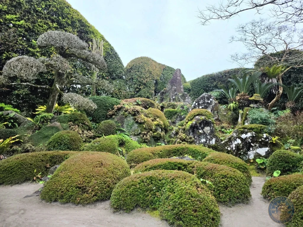 Magnificent dry landscape (karesansui) garden featuring moss-covered rocks, dramatic stone formations, and iconic cloud-pruned shrubs in Garden 4 of the historic Chiran Samurai District. Stunning traditional Japanese garden scenery in Kagoshima, Japan. Kagoshima Cruise Port Guide | Things to do in Kagoshima from cruise ship | One day in Kagoshima Japan itinerary by Danny and Peter.