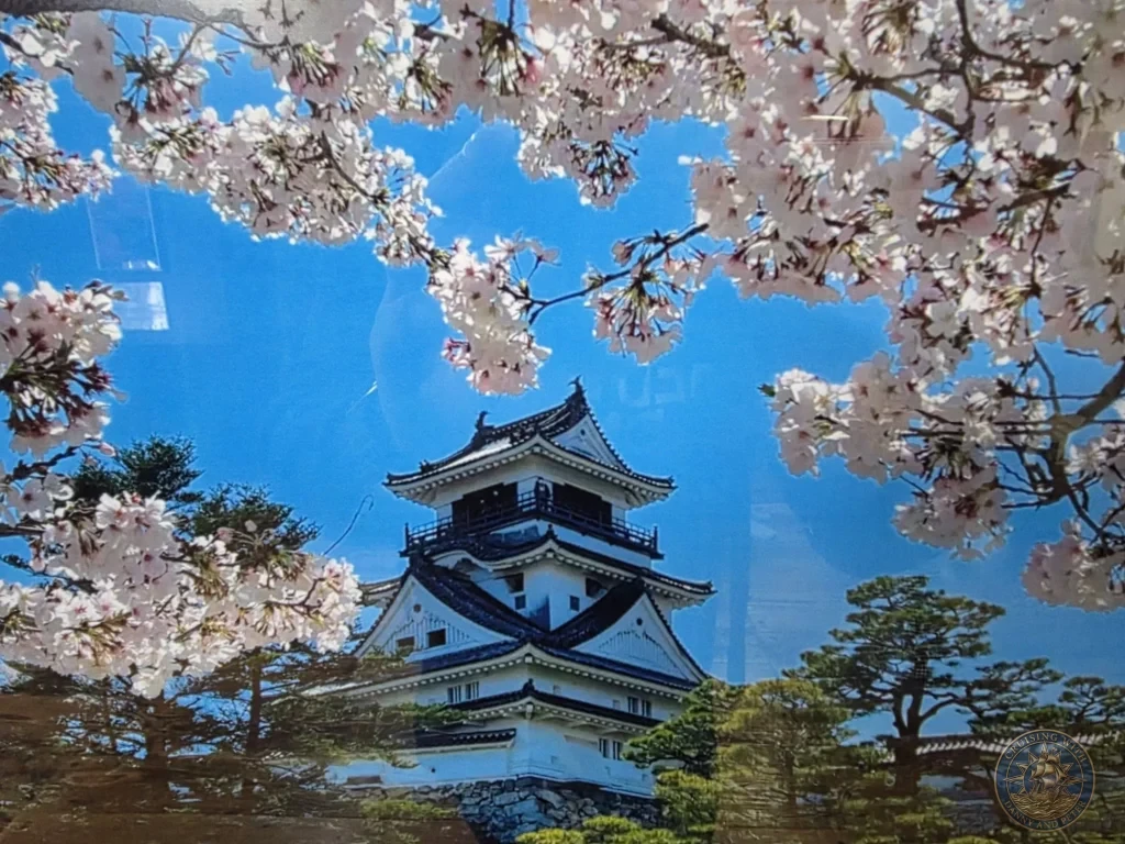 Kochi Castle keep framed by beautiful pink cherry blossom branches against a blue sky in Kochi, Japan. Iconic spring view of the historic landmark. Kochi Cruise Port Guide | Things to do in Kochi from cruise ship | One day in Kochi Japan itinerary by Danny and Peter.