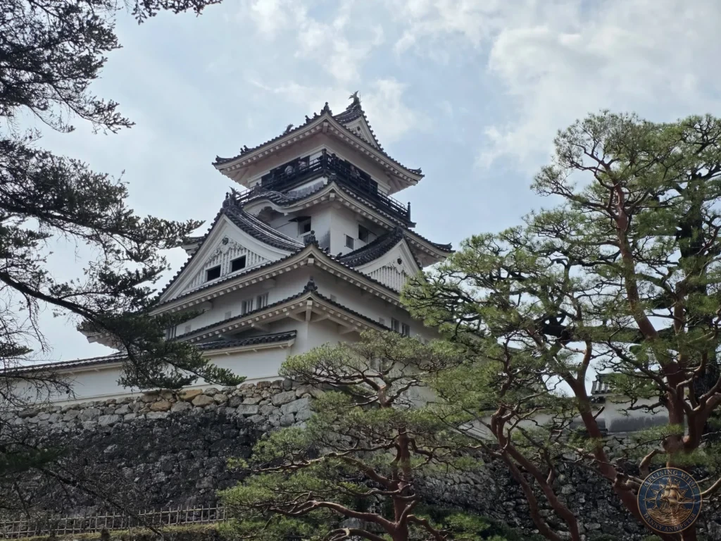Kochi Castle keep framed by elegant pine trees under a blue sky in Kochi, Japan. Scenic view of the historic landmark. Kochi Cruise Port Guide | Things to do in Kochi from cruise ship | One day in Kochi Japan itinerary by Danny and Peter.