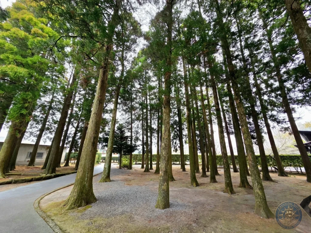Tall, towering trees lining a peaceful path at the Chiran Peace Museum for Kamikaze Pilots. Serene memorial grounds surrounding the historic site dedicated to the Special Attack Forces in Chiran Samurai District, Kagoshima, Japan. Kagoshima Cruise Port Guide | Things to do in Kagoshima from cruise ship | One day in Kagoshima Japan itinerary by Danny and Peter.