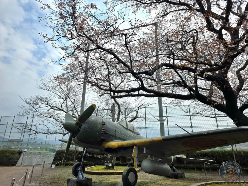 Historic kamikaze aircraft displayed beneath blooming cherry blossom trees at the Chiran Peace Museum for Kamikaze Pilots. Poignant memorial site in the Chiran Samurai District, Kagoshima, Japan. Kagoshima Cruise Port Guide | Things to do in Kagoshima from cruise ship | One day in Kagoshima Japan itinerary by Danny and Peter.