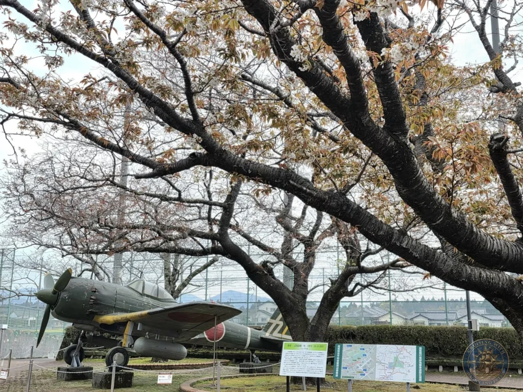 Historic kamikaze aircraft displayed under blooming cherry blossom trees at the Chiran Peace Museum for Kamikaze Pilots. Poignant memorial setting in the Chiran Samurai District, Kagoshima, Japan. Kagoshima Cruise Port Guide | Things to do in Kagoshima from cruise ship | One day in Kagoshima Japan itinerary by Danny and Peter.