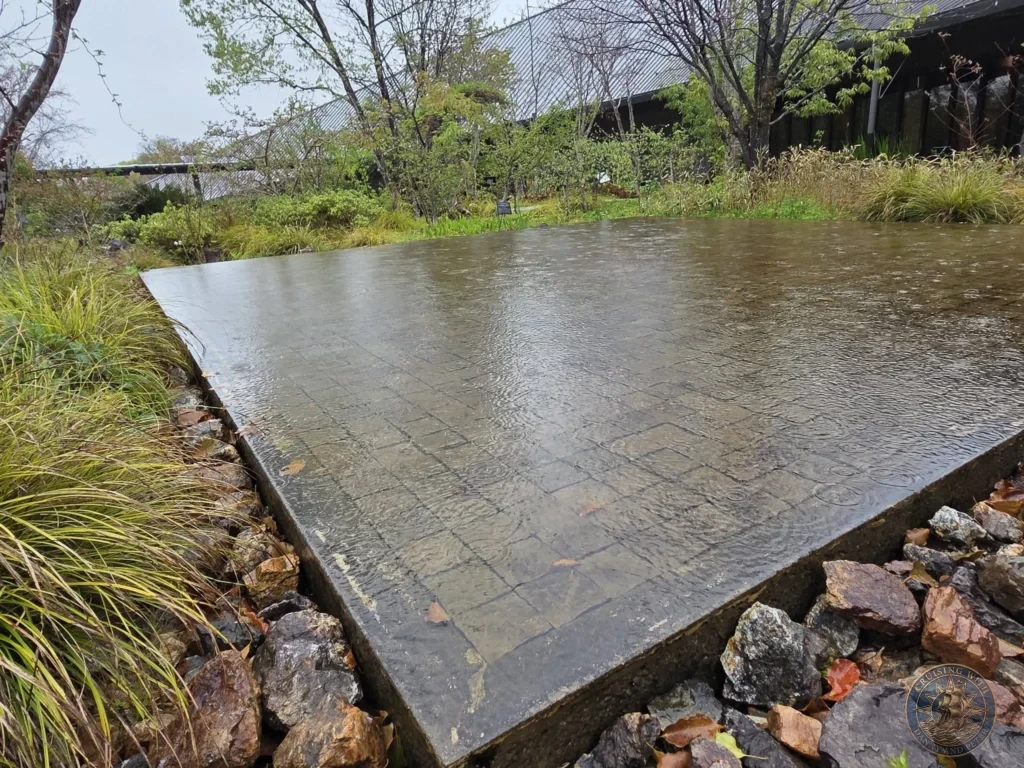 Large shallow reflecting pool with raindrops creating ripples at Makino Botanical Garden in Kochi, Japan. Modern water feature with natural surroundings. Kochi Cruise Port Guide | Things to do in Kochi from cruise ship | One day in Kochi Japan itinerary by Danny and Peter.